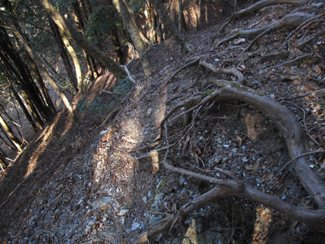 20190121hike (84)